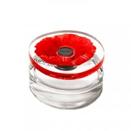 Kenzo Flower in the Air 100ml